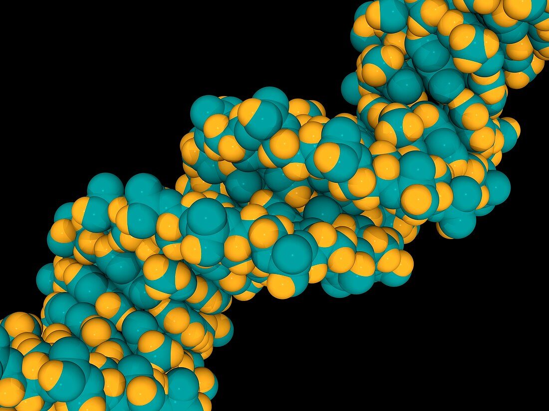 DNA molecule,artwork