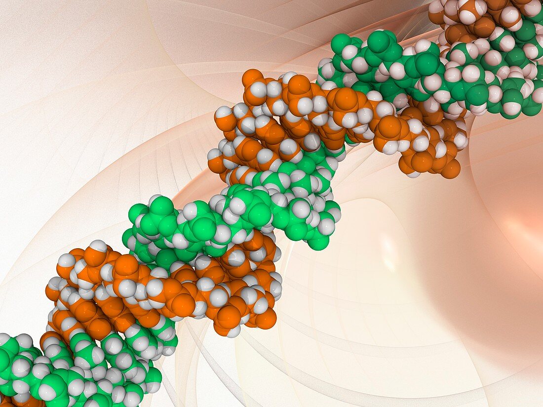 DNA molecule,artwork