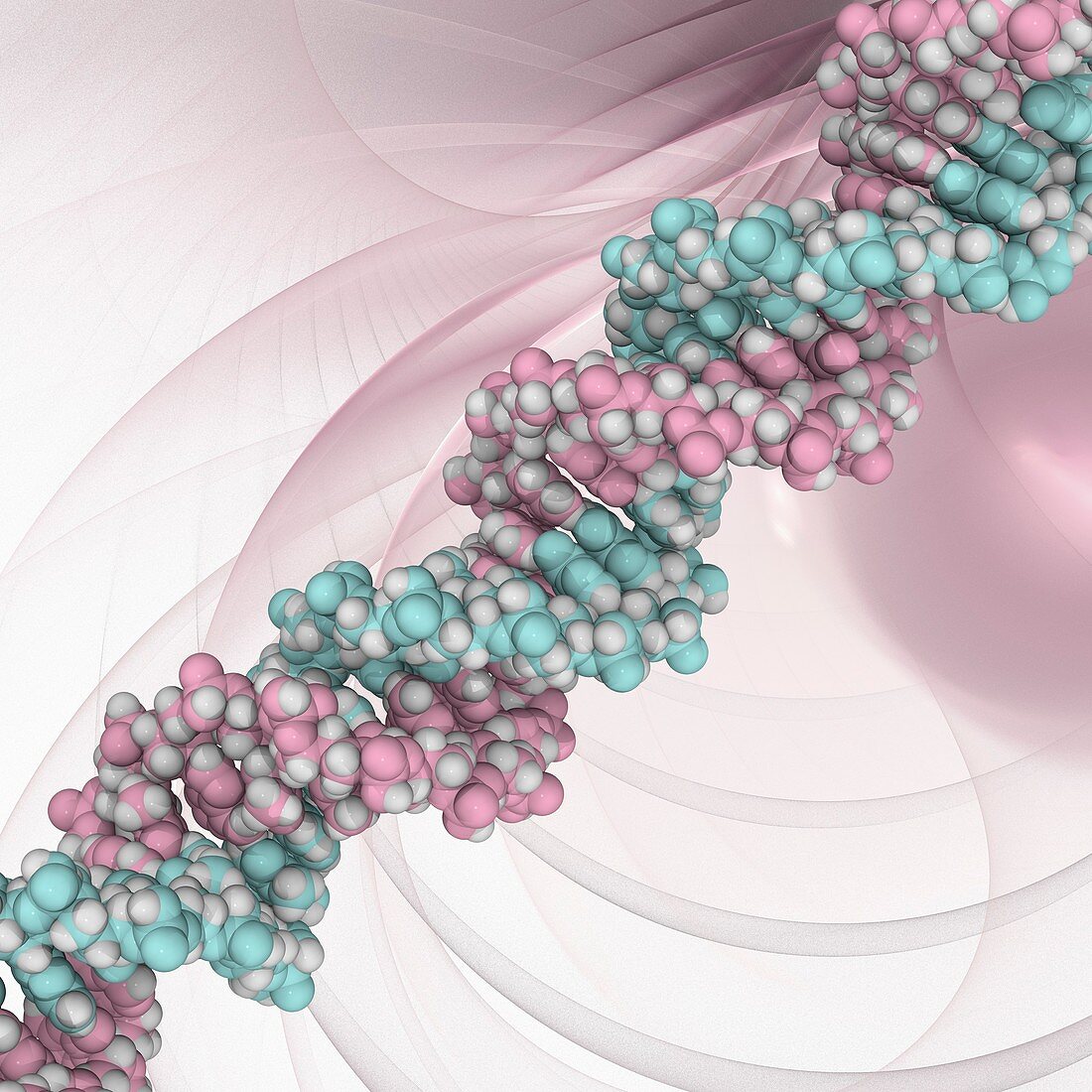 DNA molecule,artwork