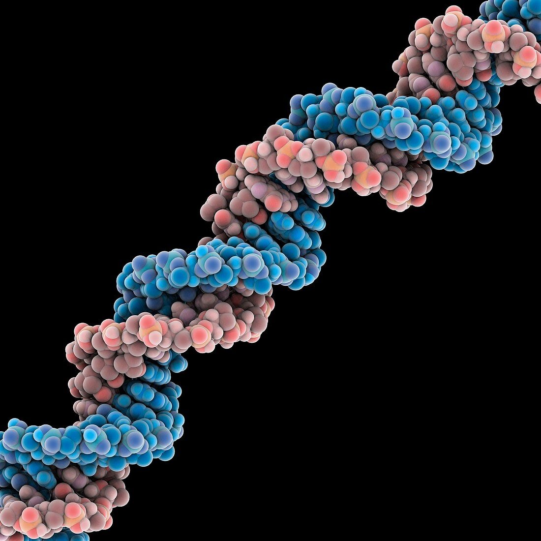 DNA molecule,artwork