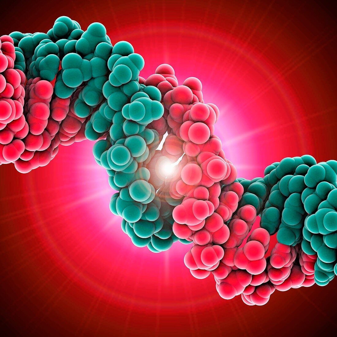 DNA molecule,artwork