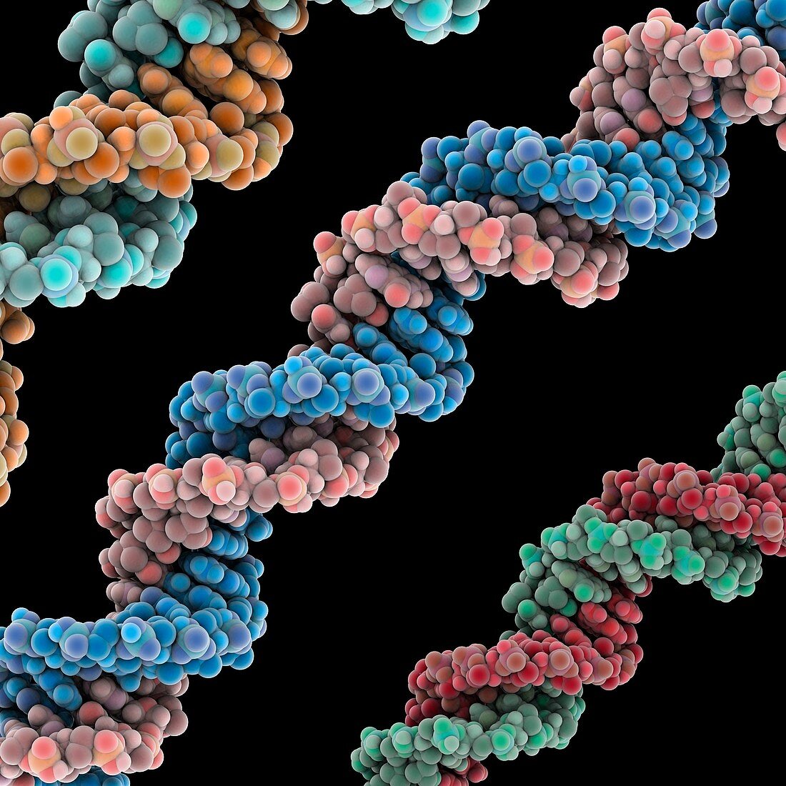 DNA molecules,artwork