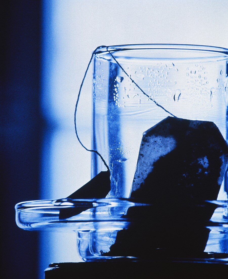 Tea bag in empty tea glass