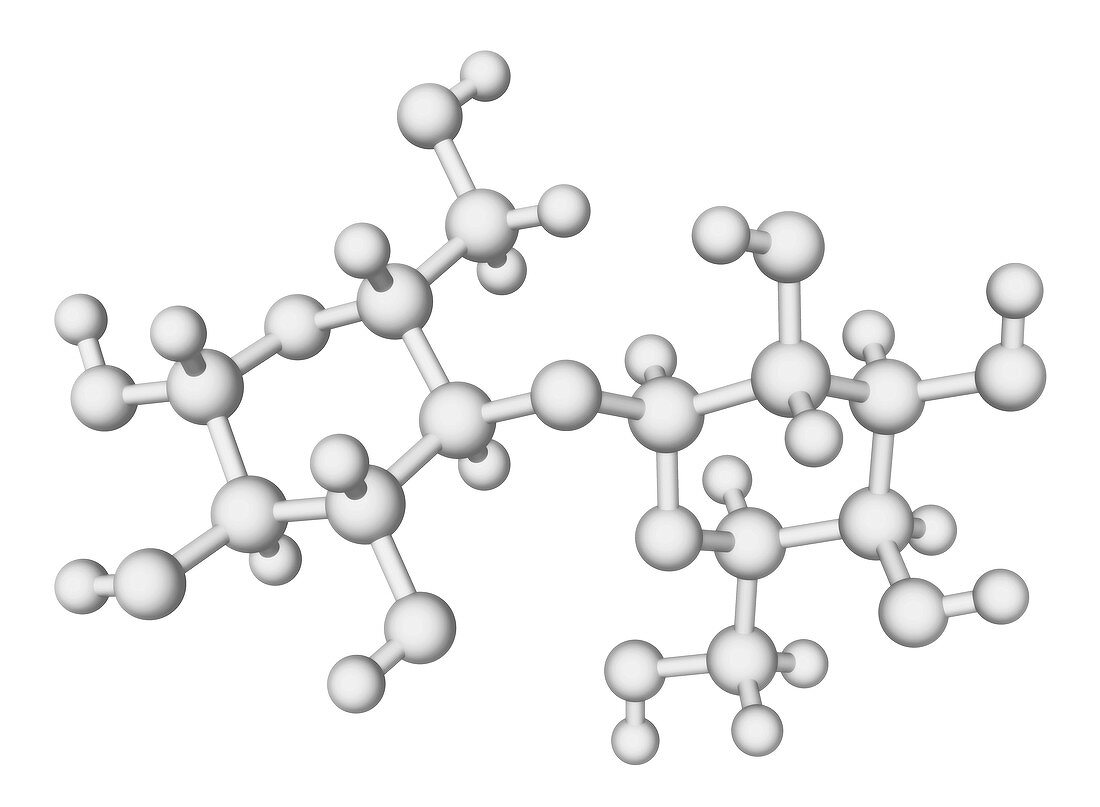 Lactose enzyme molecule