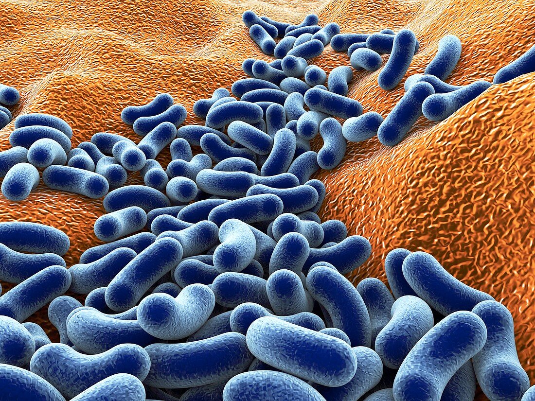 Bacteria,artwork