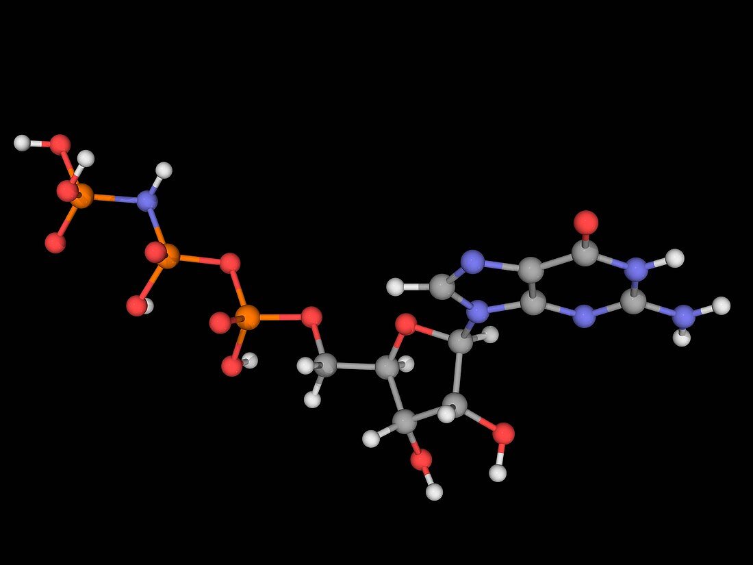 Guanylyl imidodiphosphate molecule