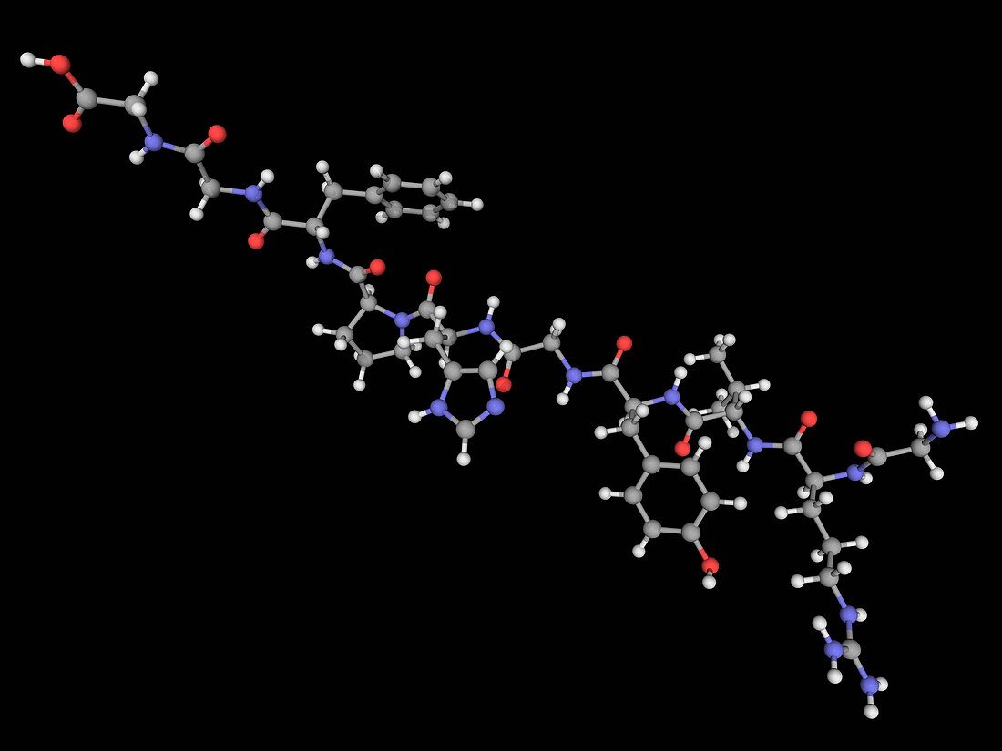 Angiotensin hormone molecule