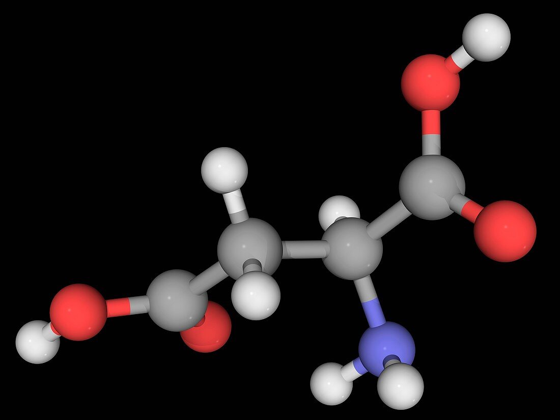 Aspartic acid molecule