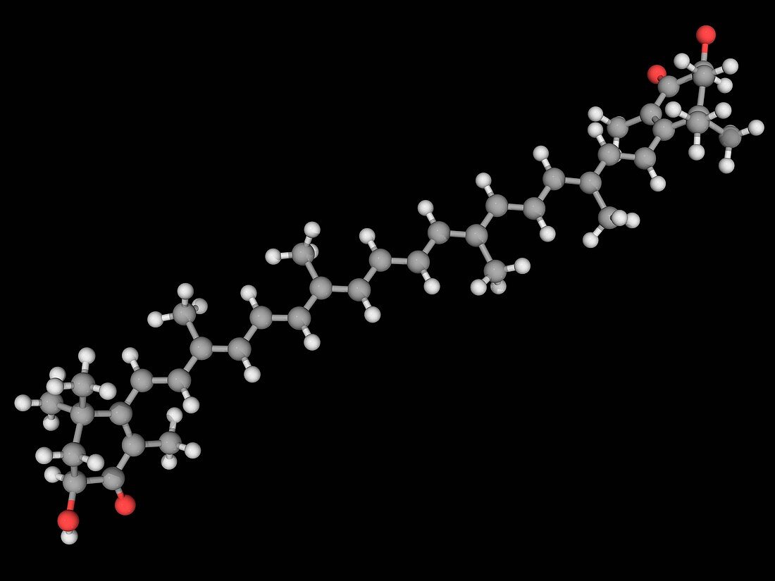 Astaxanthin molecule