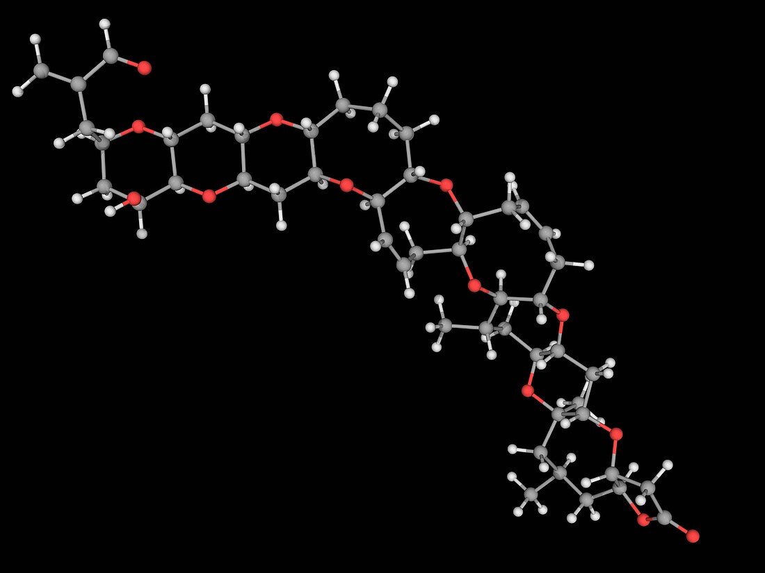 Brevetoxin neurotoxin molecule