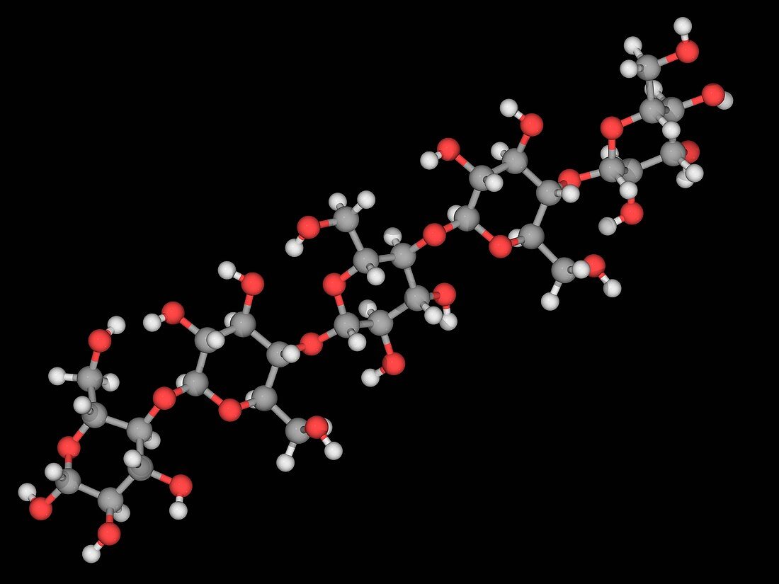 Cellulose molecule