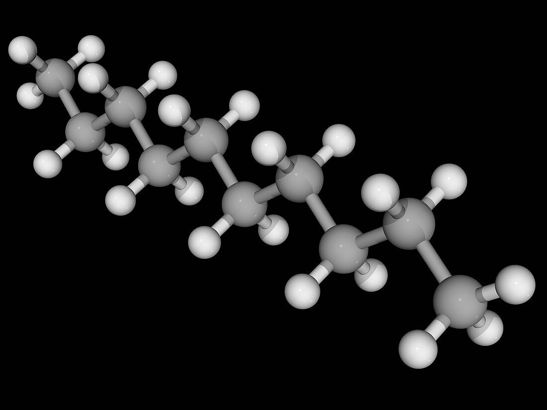 Decane molecule