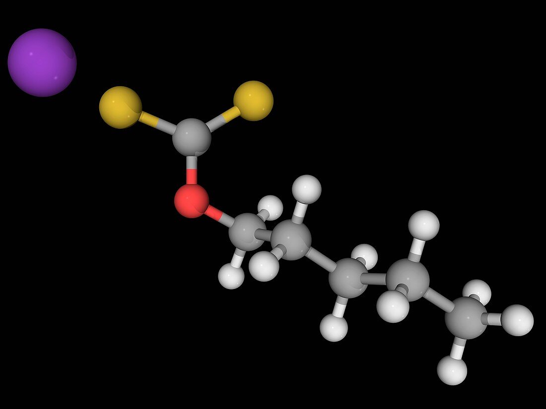 Potassium amyl xanthate molecule