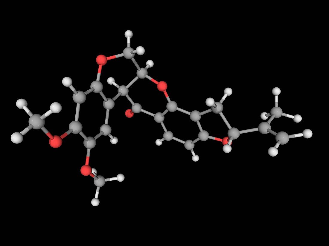 Rotenone molecule