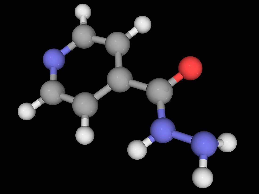 Isoniazid drug molecule