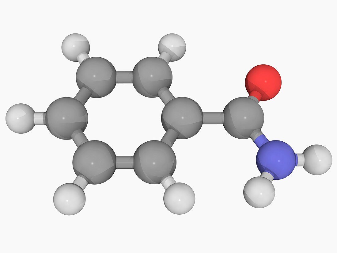 Benzamide molecule