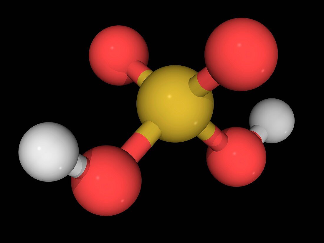 Sulfuric acid molecule