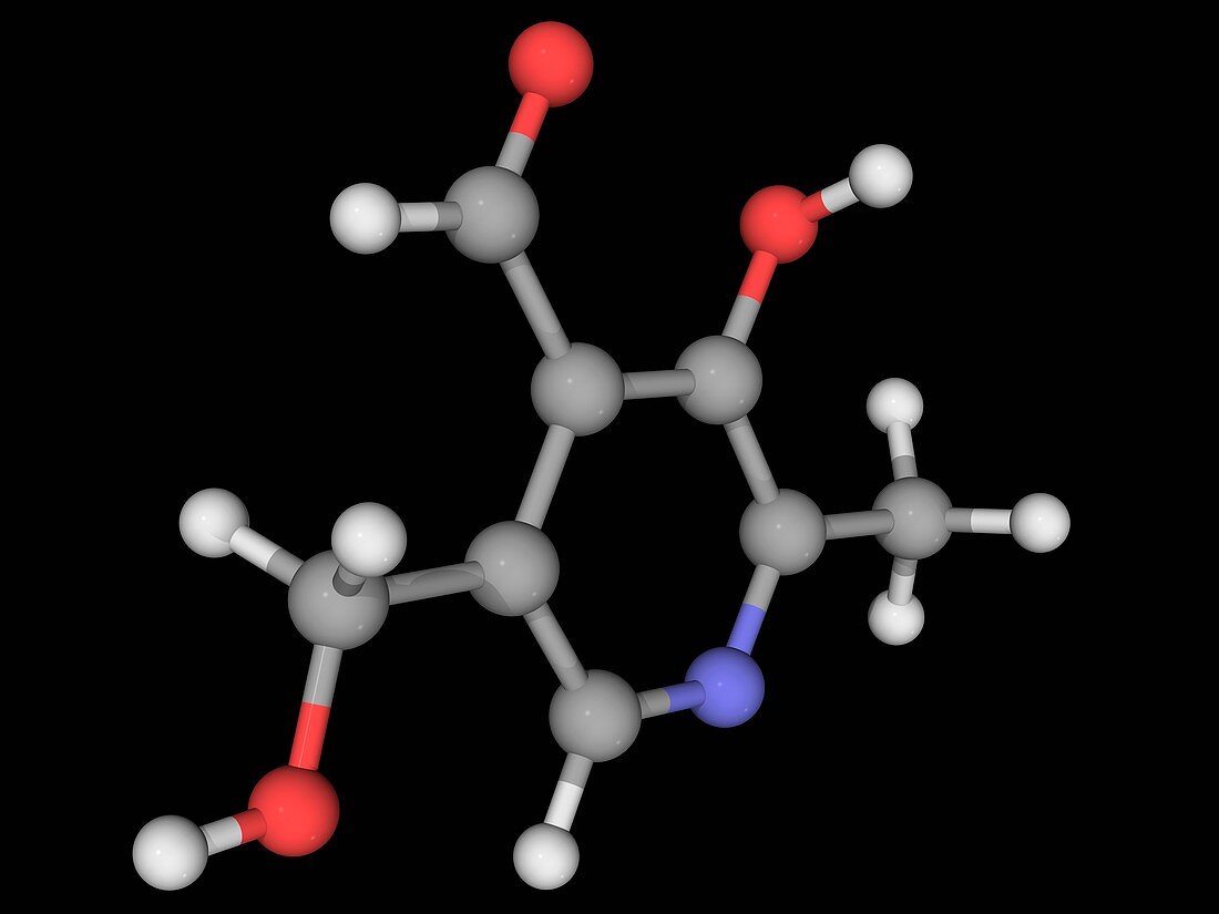 Vitamin B6 pyridoxal molecule
