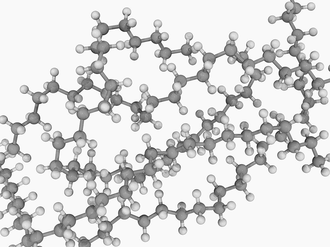 Polyethylene molecule