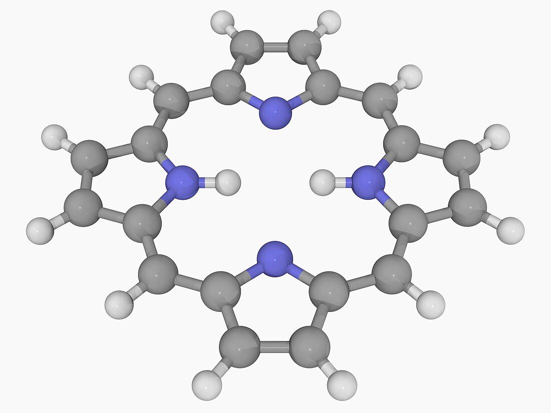 Porphin molecule