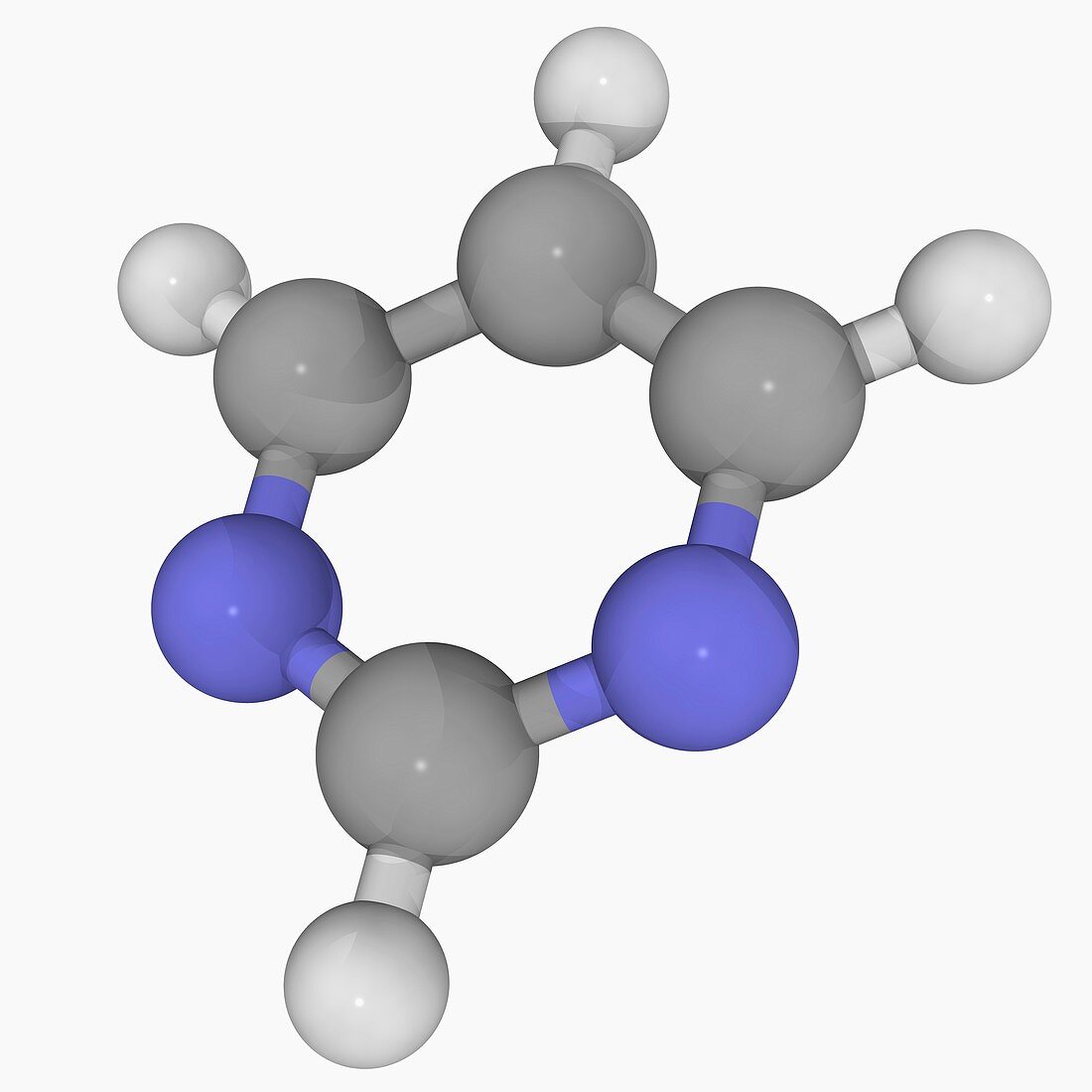 Pyrimidine molecule