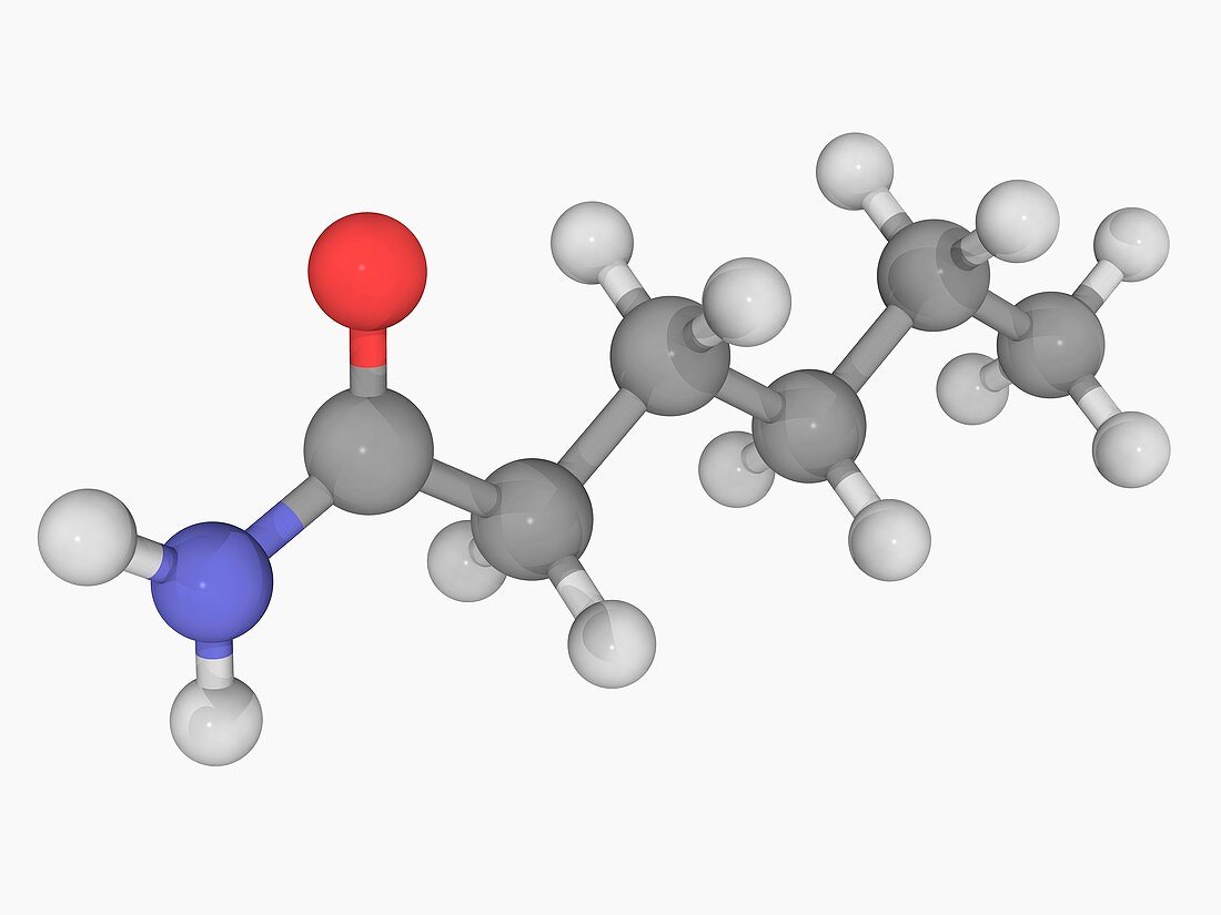 Hexanamide molecule