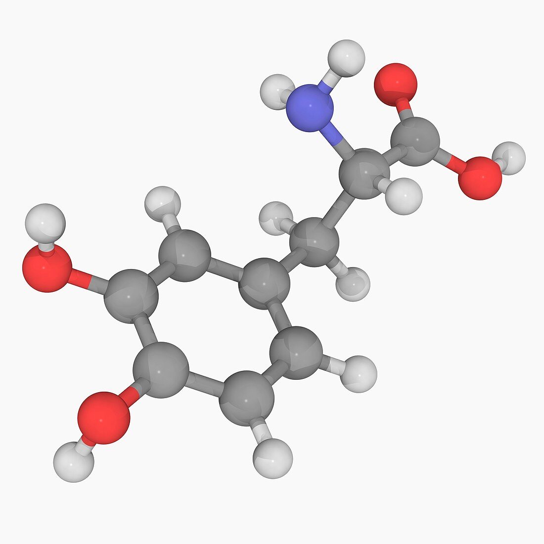 Levodopa L-DOPA drug molecule