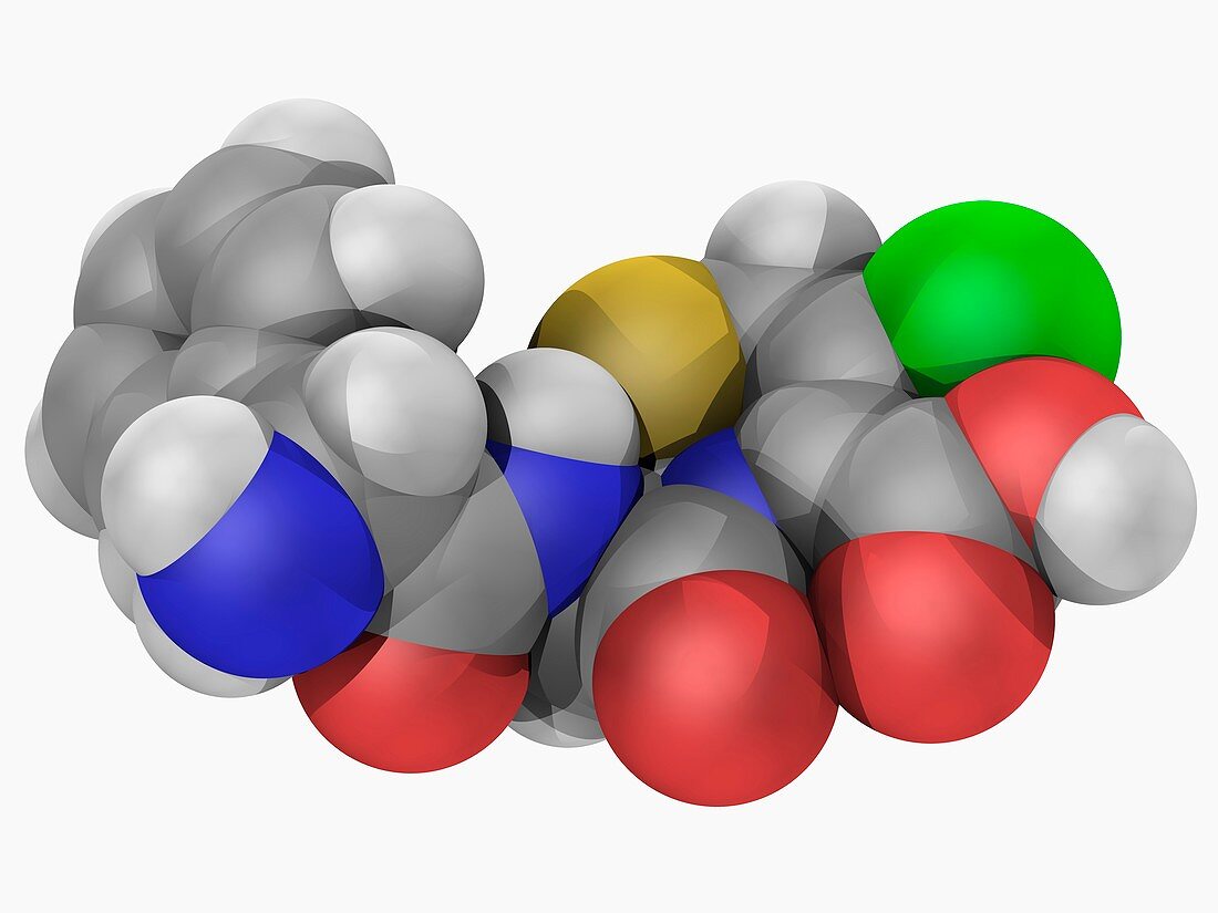Cefaclor drug molecule