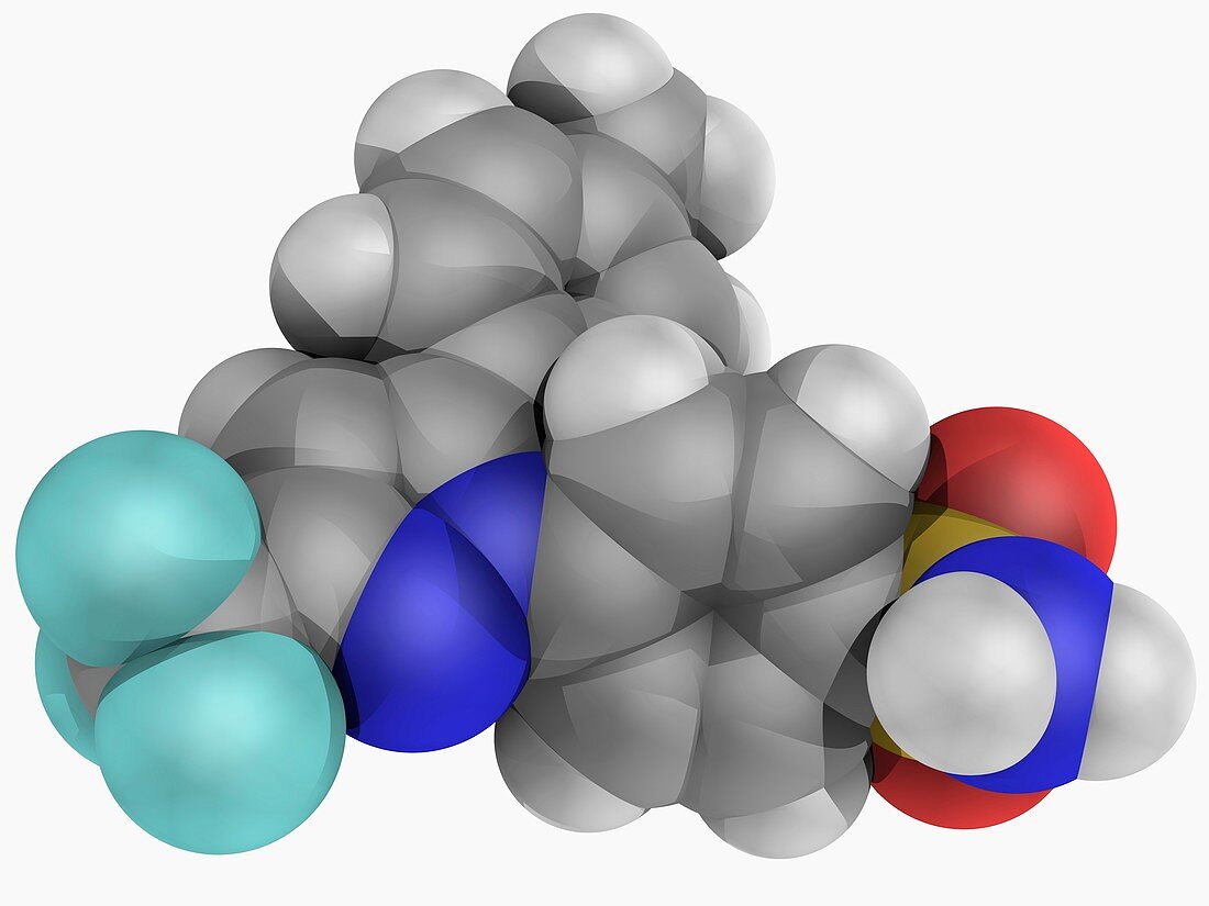 Celecoxib drug molecule