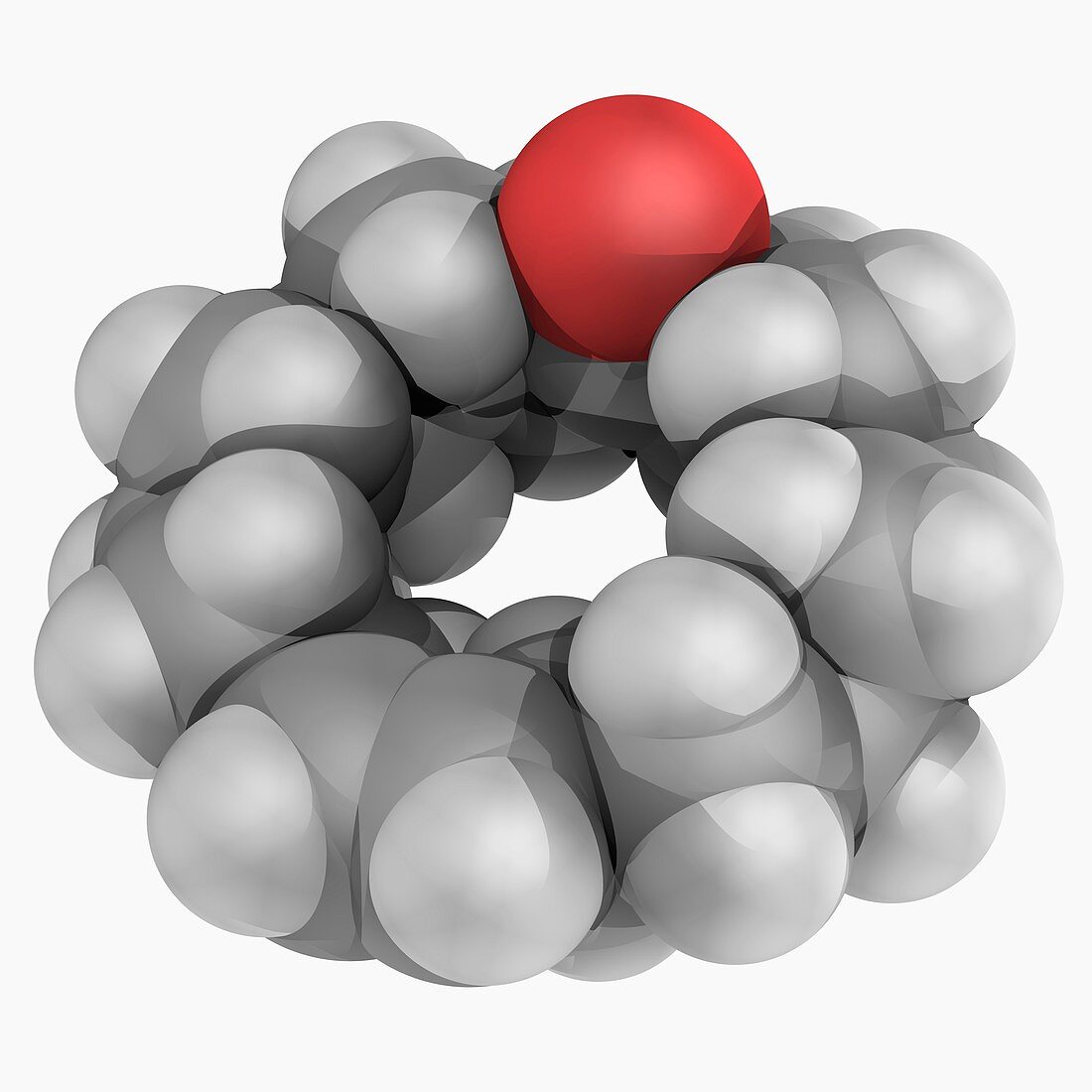 Civetone molecule