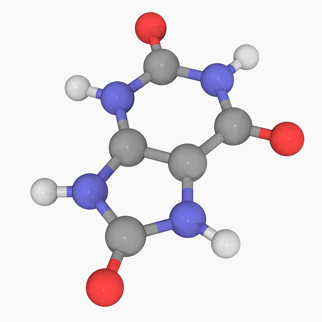 Uric acid molecule