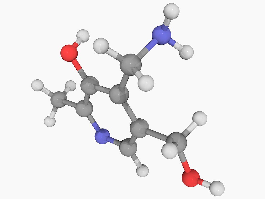 Vitamin B6 pyridoxamine molecule