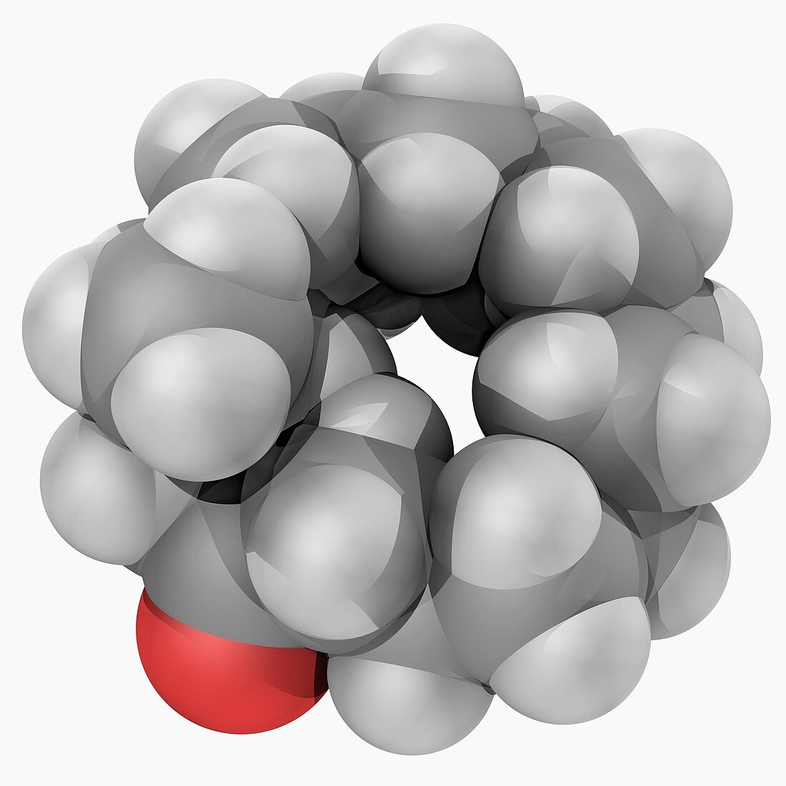 Muscone molecule