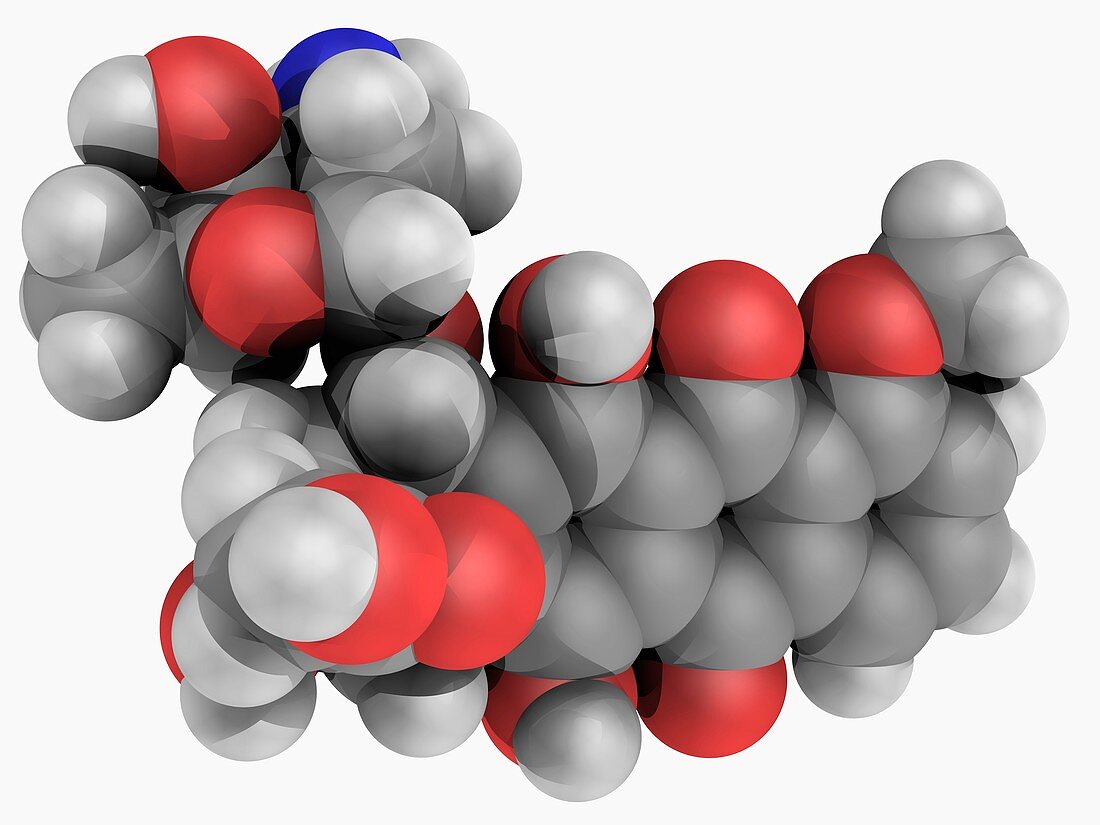 Doxorubicin drug molecule