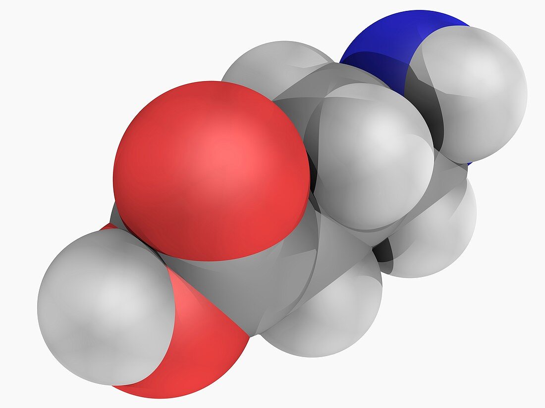 Gamma-aminobutyric acid GABA molecule