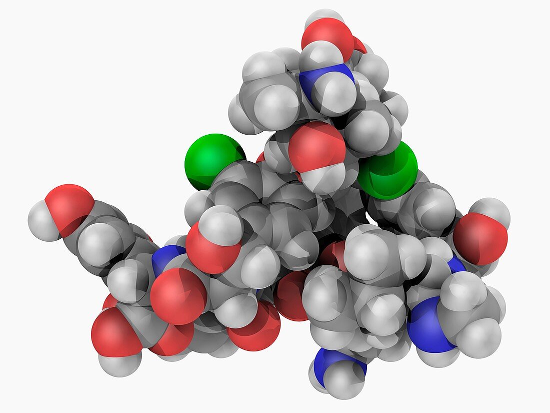 Vancomycin drug molecule