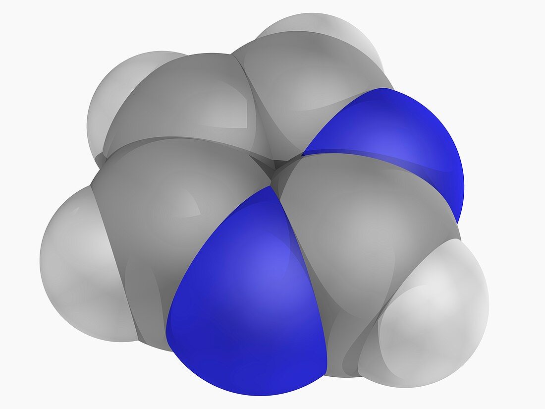 Pyrimidine molecule