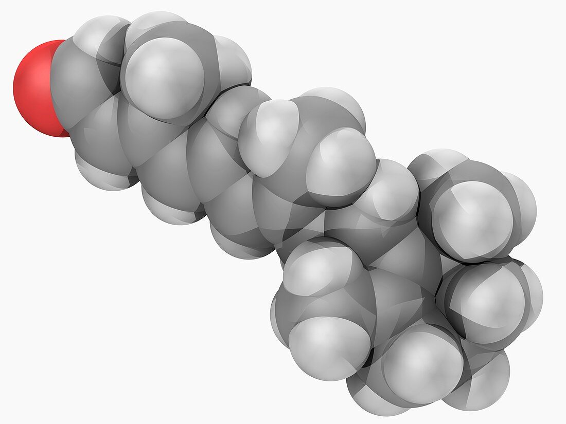 Retinal vitamin A molecule