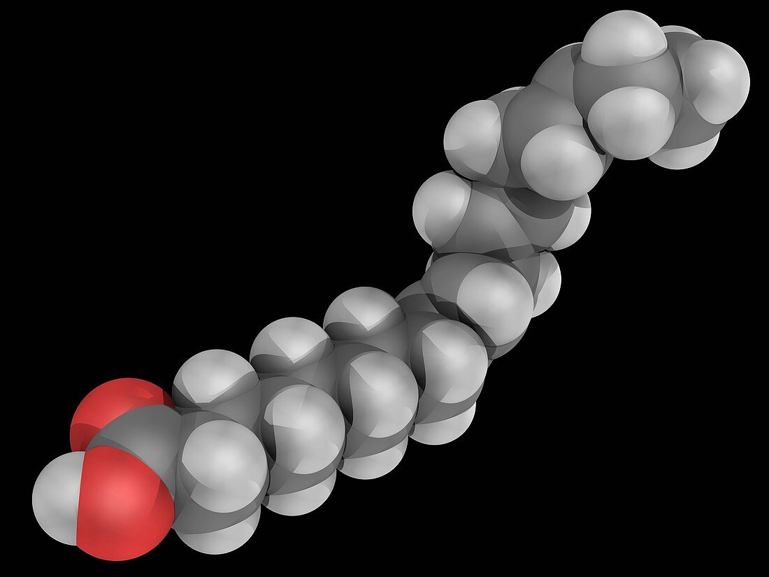Alpha-linolenic acid molecule