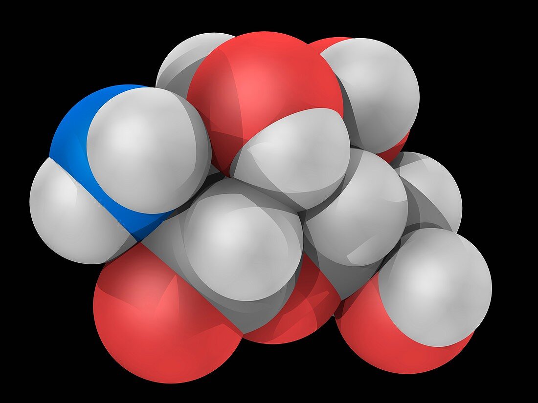 Glucosamine molecule