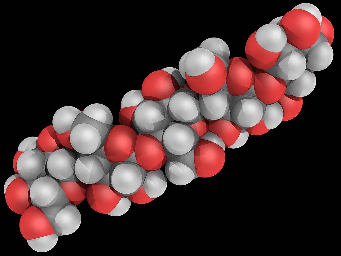 Cellulose molecule