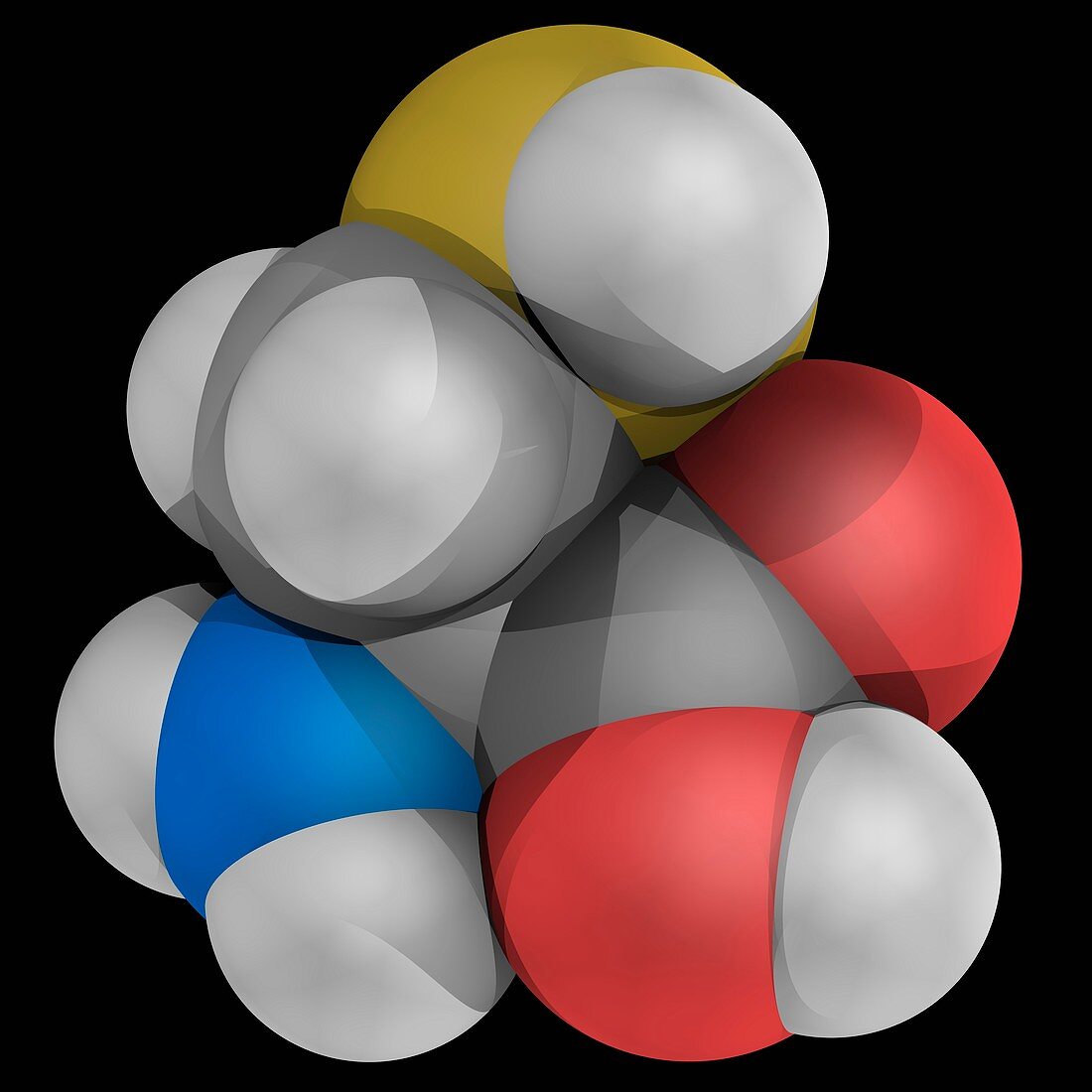 Cysteine molecule
