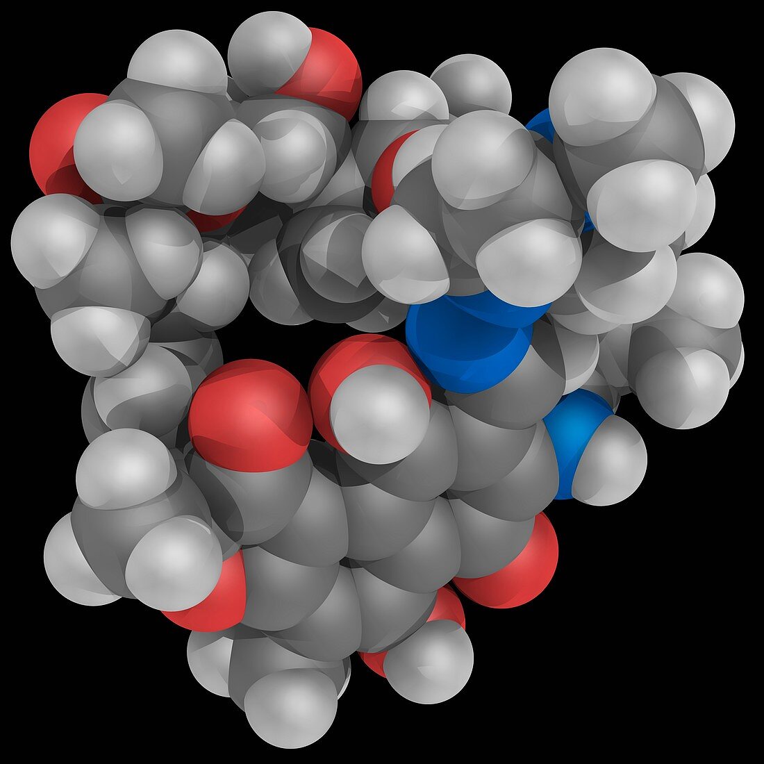 Rifampicin drug molecule