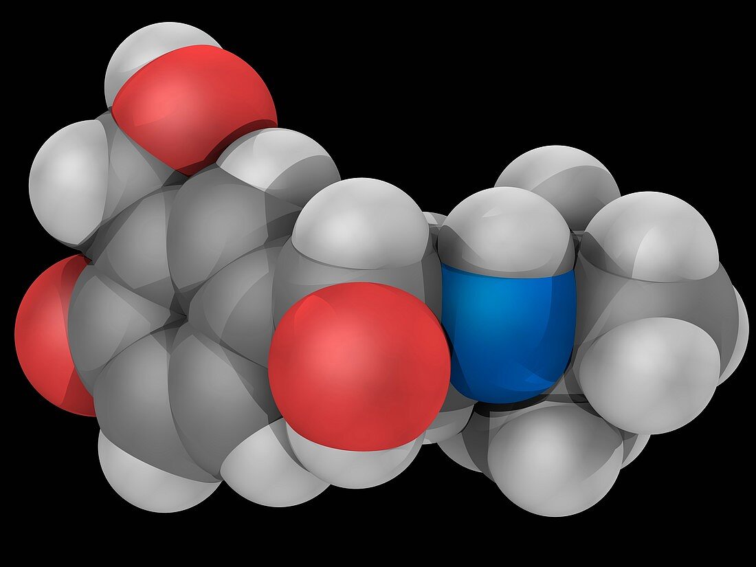 Salbutamol drug molecule
