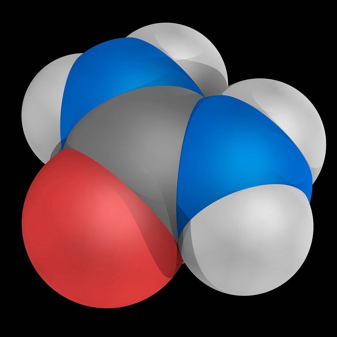 Urea molecule