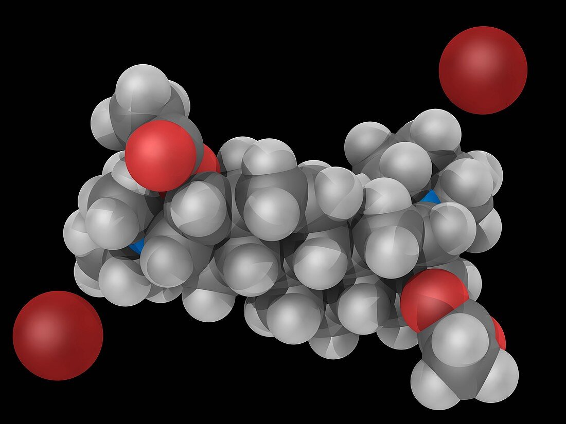 Pancuronium bromide drug molecule