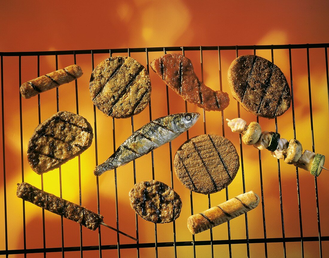 Several Types of Grilled Foods