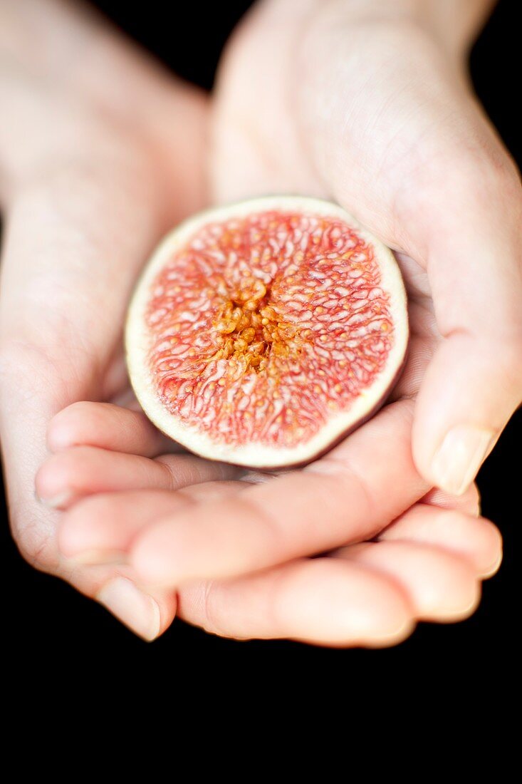 Fig