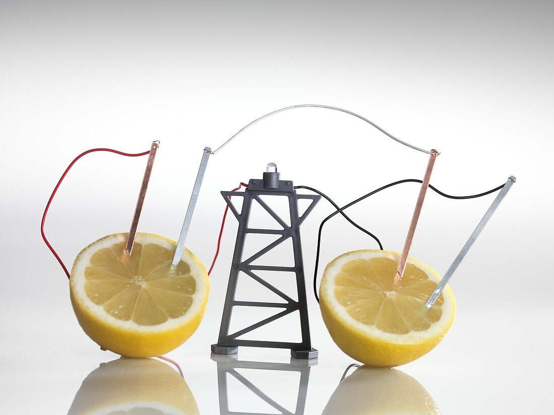 Electrical circuit with lemons