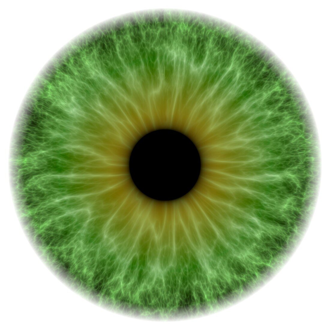 Green eye,artwork